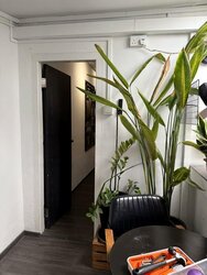 Kelantan Lane (D8), Office #456757431